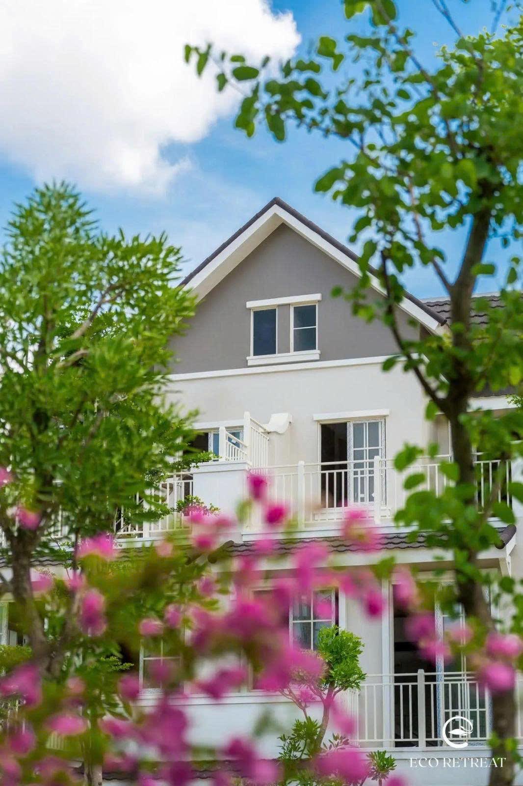 Dãy nhà phố với hàng cau xanh tại Eco Retreat