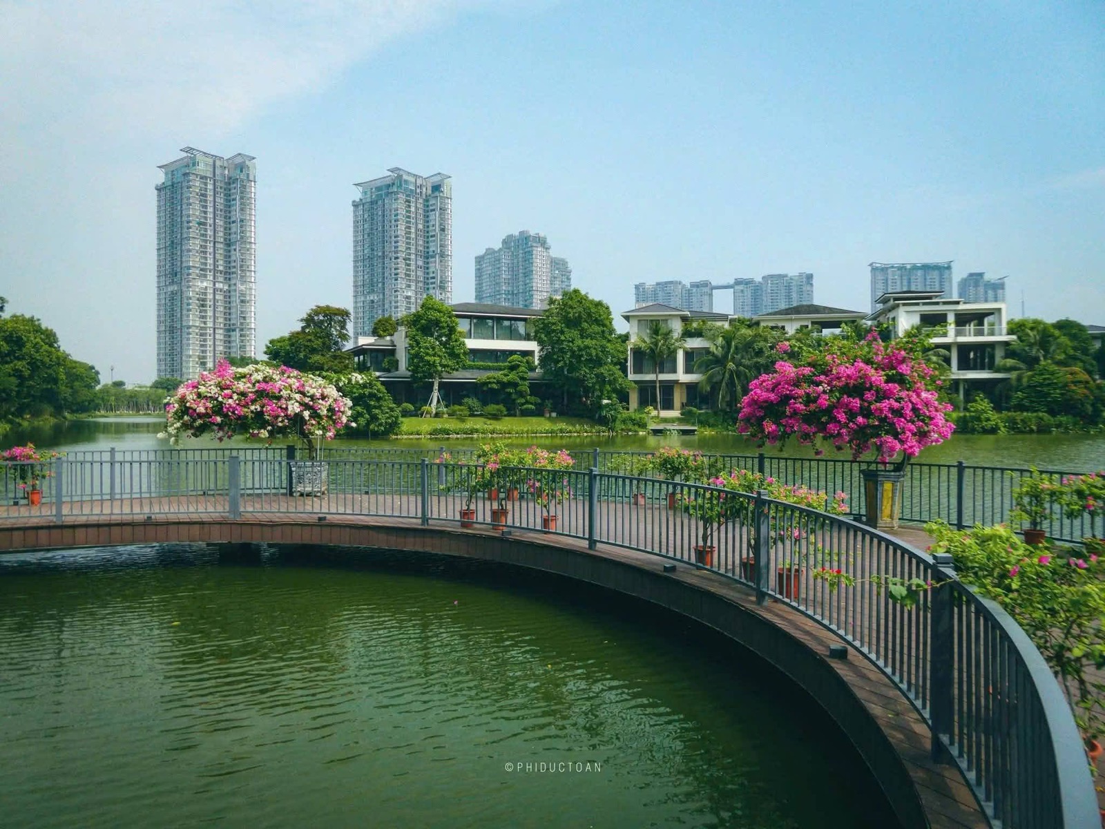 Cầu ven hồ với các chậu hoa giấy và tòa nhà cao tầng phía xa