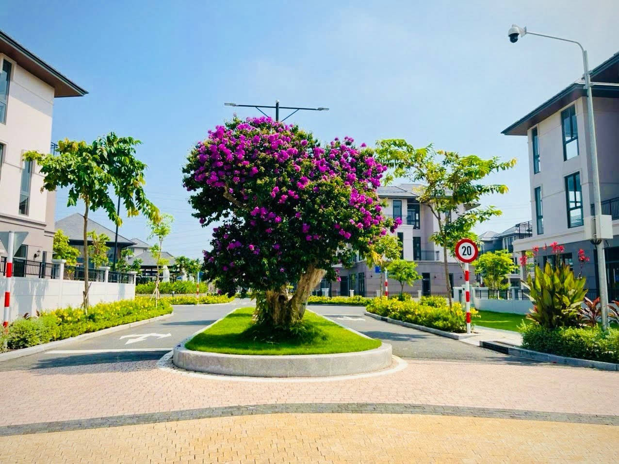 Đường nội khu Zeitgeist Nhà Bè với bồn hoa giấy và nhà phố hai bên